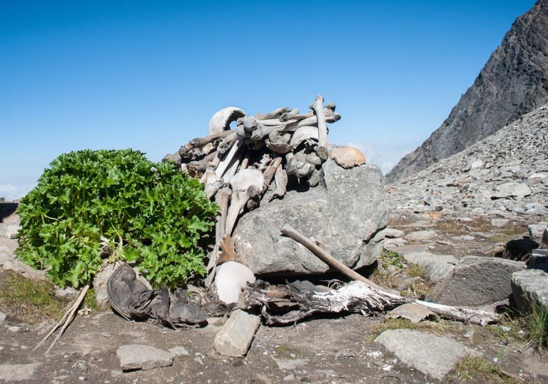 The Mysterious Lake of Human Bones in Remote India