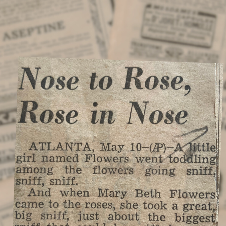 Nose to Rose, Rose in Nose