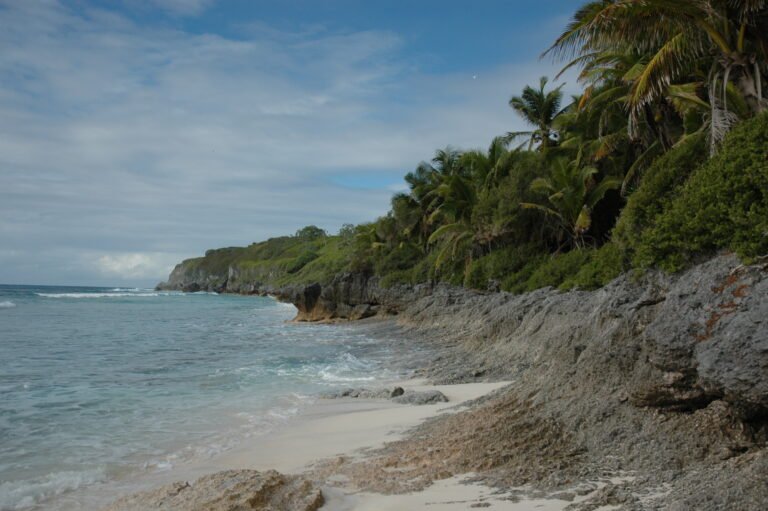 The Last Man on Earth, as told by a Trash Pile-The Story of Henderson Island